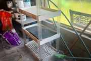 shelves