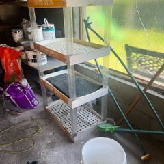 shelves
