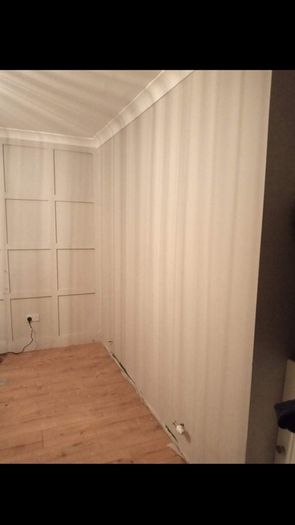 Plasterer Carlow