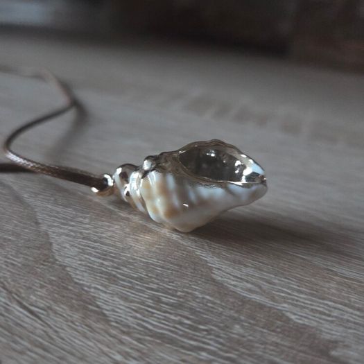 Shell necklace, NEW