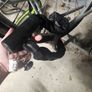 Women's bike Image 9