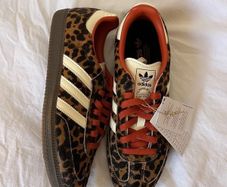 trainers