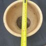 pot Image 2