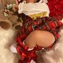 doll reborn beautiful Xmas Image 7
