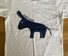 New - Boys T-Shirt (8yrs)