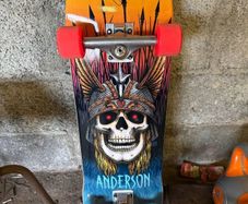 Pro skateboards and new parts