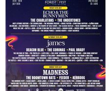 Forest fest 1 weekend ticket and 1 canpervan ticket