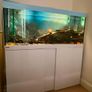fish Image 3