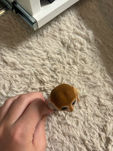 sylvanian