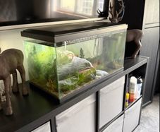 60 Litre Fish Tank