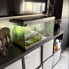 60 Litre Fish Tank