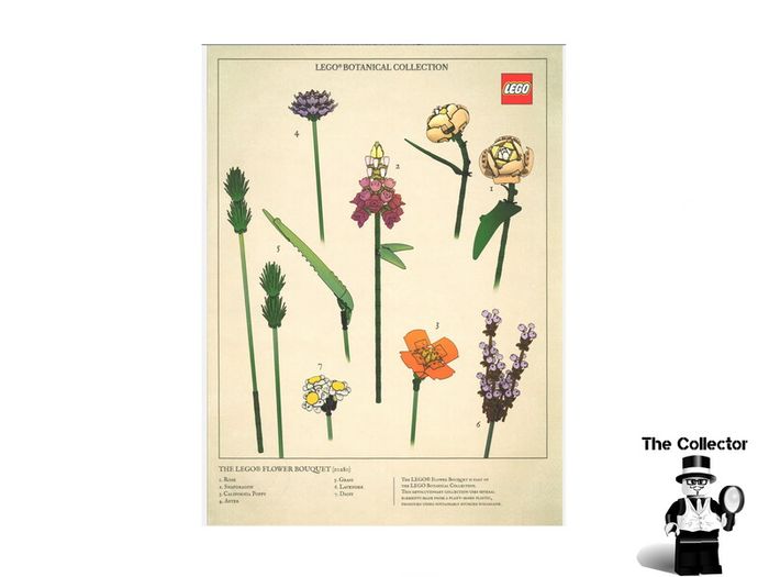 LEGO Botanical Collection Print This Is A Promotional Lego Item You Can Not Buy In Shops  New
