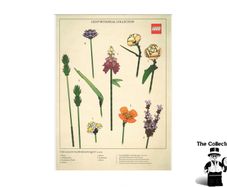 LEGO Botanical Collection Print This Is A Promotional Lego Item You Can Not Buy In Shops  New