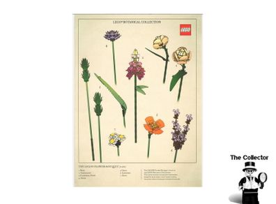 LEGO Botanical Collection Print This Is A Promotional Lego Item You Can Not Buy In Shops  New