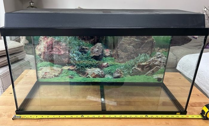 Vivarium / Reptile Enclosure