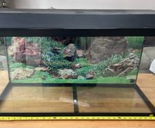Vivarium / Reptile Enclosure