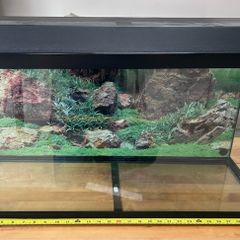 Vivarium / Reptile Enclosure