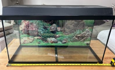 Vivarium / Reptile Enclosure