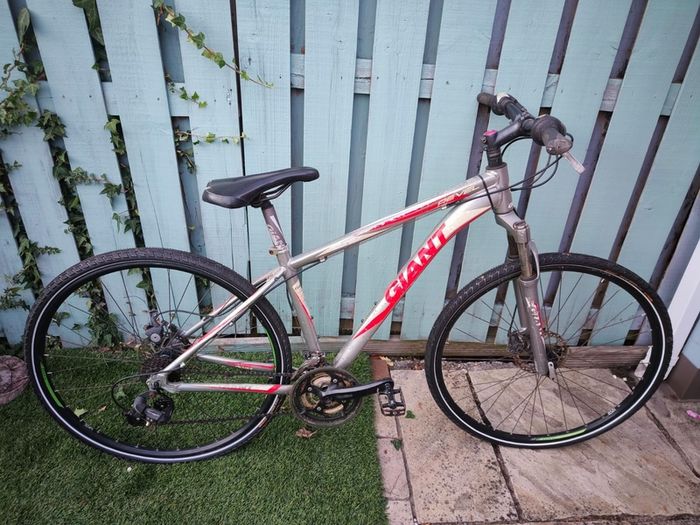 Giant Bike