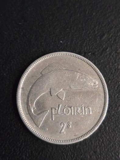 Irish silver Florin