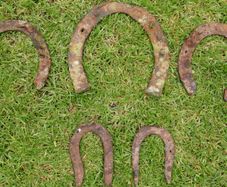 Hand Crafted Lucky Horseshoe (15 Each)