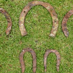 Hand Crafted Lucky Horseshoe (15 Each)
