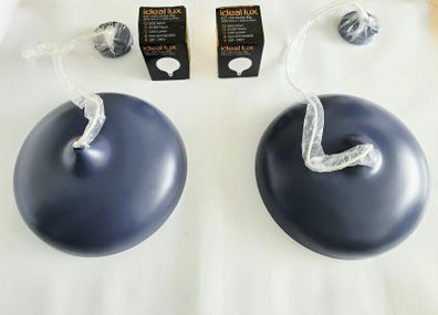 XL Ceiling Pendants + XL Globe Bulbs (x2)