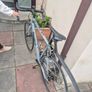 Bike Image 3