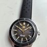 san martin diver Image 3