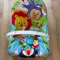 Baby Bouncer