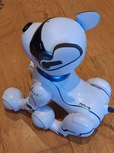 Robodog