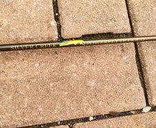 Fly fishing rods and flies