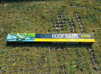car roof bars