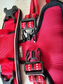 dogs creek red harness med up to  25kg