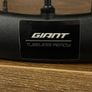 Giant Wheelset Image 2