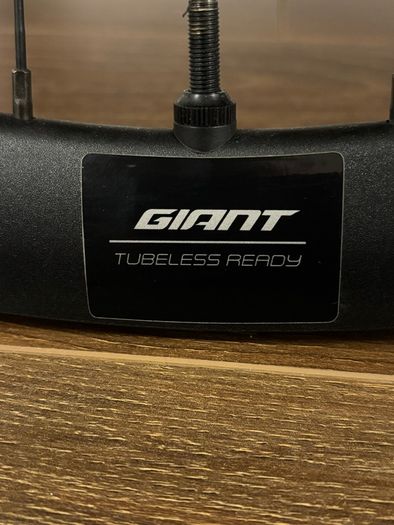 Giant Wheelset