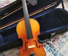 violin
