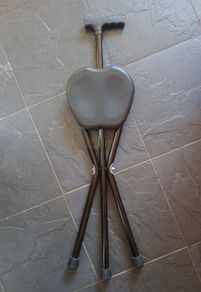 Cane with seat