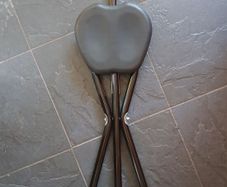 Cane with seat
