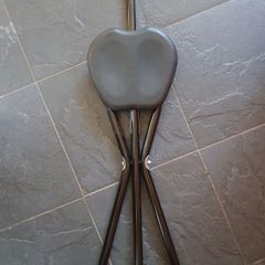 Cane with seat