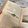 vintage book 1873 yr Image 9