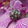Antique Art Deco 18ct Gold and  Diamond Daisy Ring Image 2