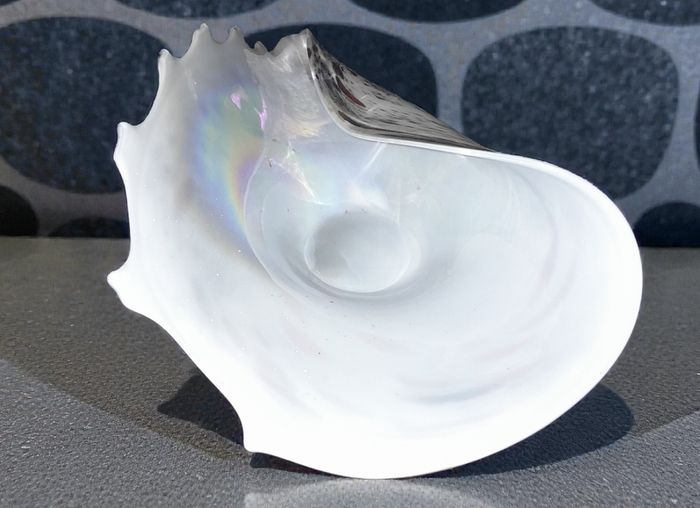 Massive speckled glass shell centerpiece