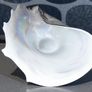 Massive speckled glass shell centerpiece Image 2