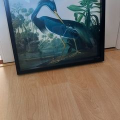Framed Crane Picture