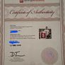 Steven Gerrard signed and framed Liverpool shirt Image 4