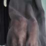 RIVER ISLAND Black Velvet and Sheer Playsuit Sz 14 Image 8