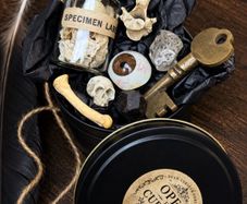 Dead Curious Blind Tins