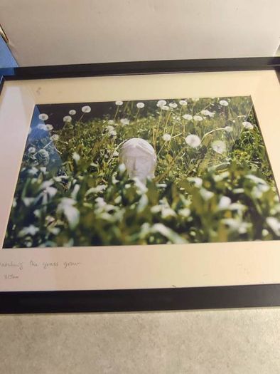 John lennon framed print watching the grass grow NIC 2010 limited edition 3 /500 42.5 x 33 cm.