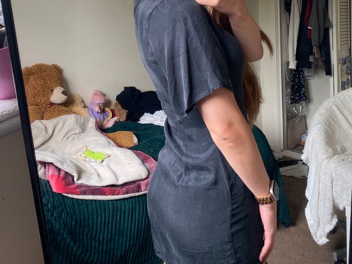 Zara dress